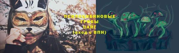 экстази Бородино